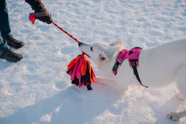 Szarpak polarowy Fluffy do zabawy z psem
